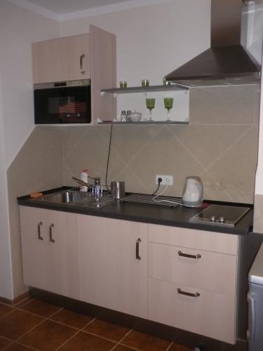 Apartament Krynica Eland Bagian luar foto
